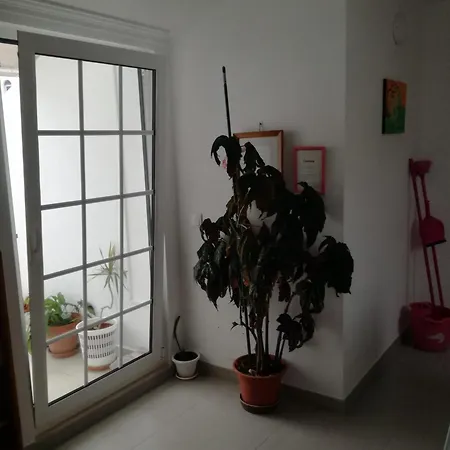 Aguas Furtadas Mario Fanha Nazaré