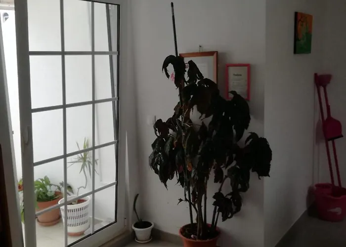 Aguas Furtadas Mario Fanha Nazaré